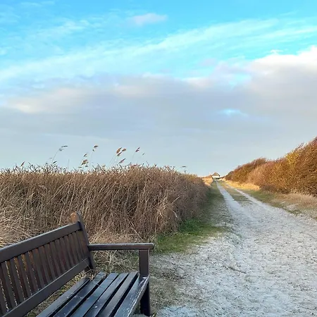 Boddenluemmel In Der Seefahrtschule